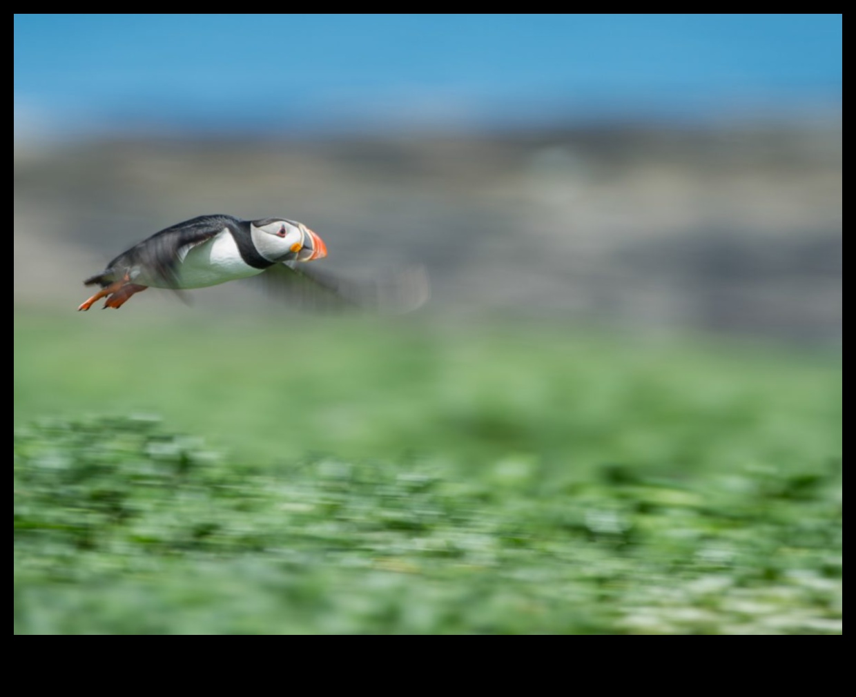 Panning Prowess: Dinamik Hareket Fotoğrafçılığı Teknikleri