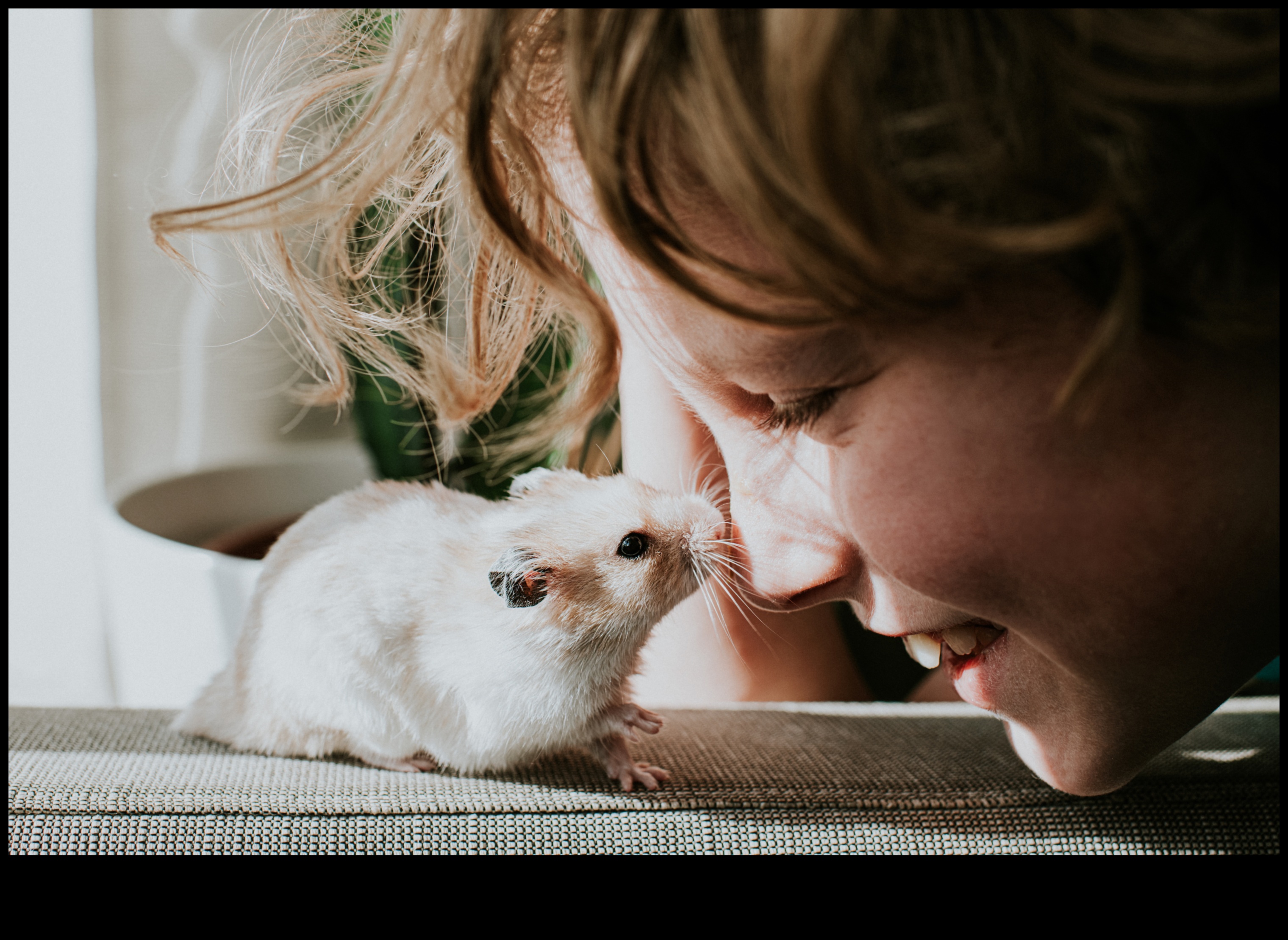 Hamster Davranış İçgörüleri: İpuçlarını ve İfadeleri Okumak