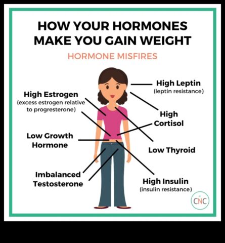 Hormonal Dengesizlik Kilo Alımının Gizli Nedeni