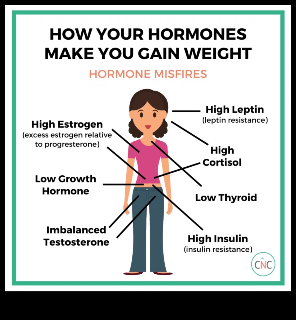 Hormonal Dengesizlikler ve Kilo Alma Diyetleri Arasındaki Bağlantı