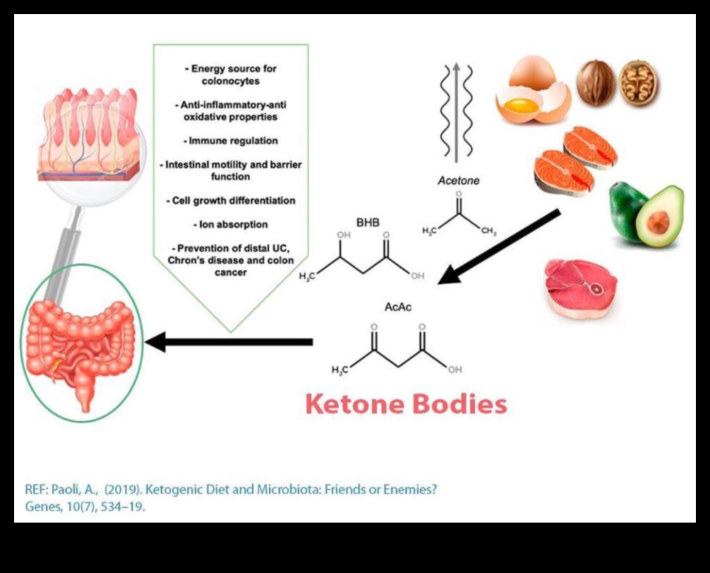 Keto ve Enflamasyon: Bütünsel Bir Bakış Açısı