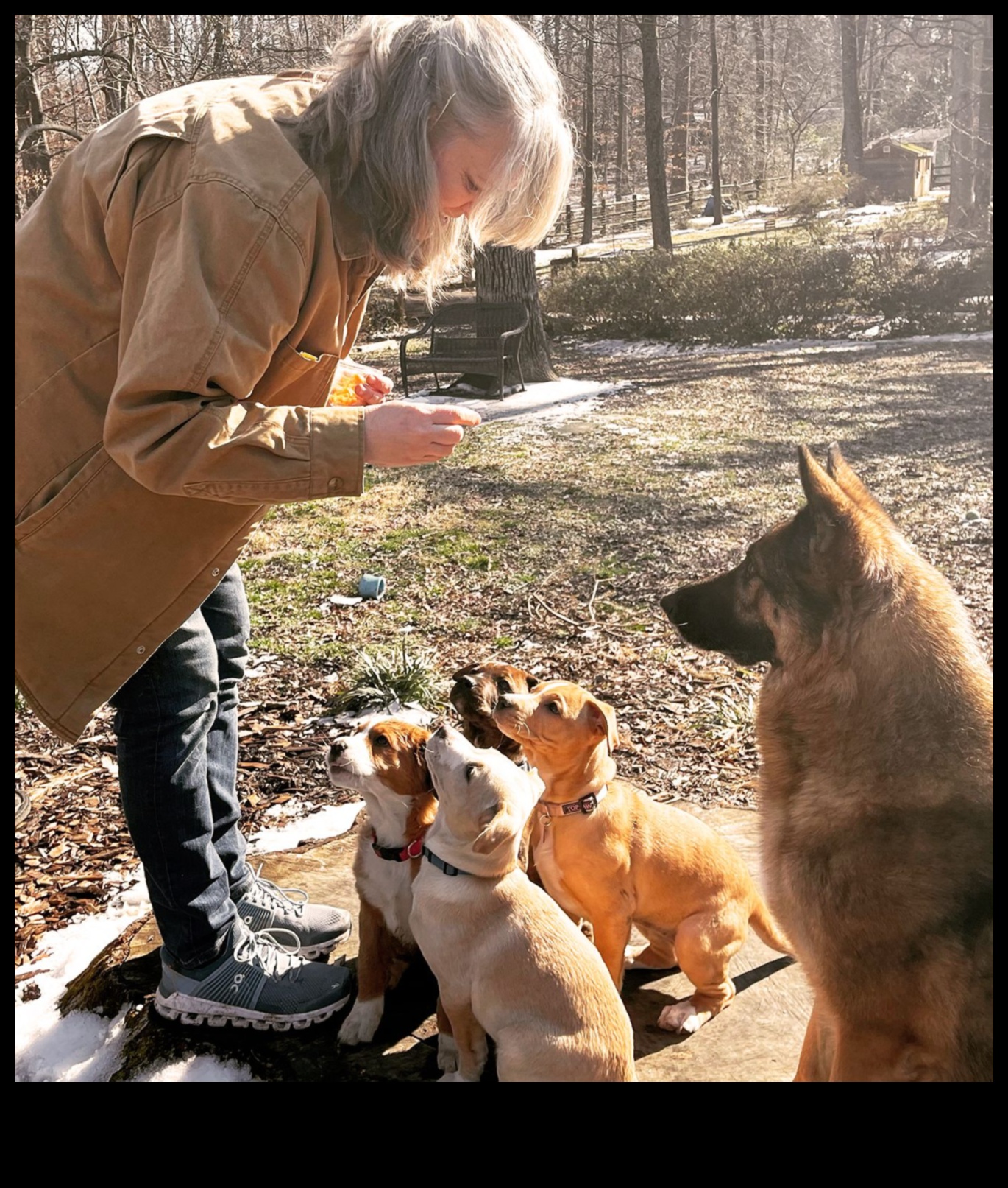 Yavru Köpek Oyun Grubu Temelleri: Yavru Köpeğinizi Diğer Köpeklerle Sosyalleştirmek